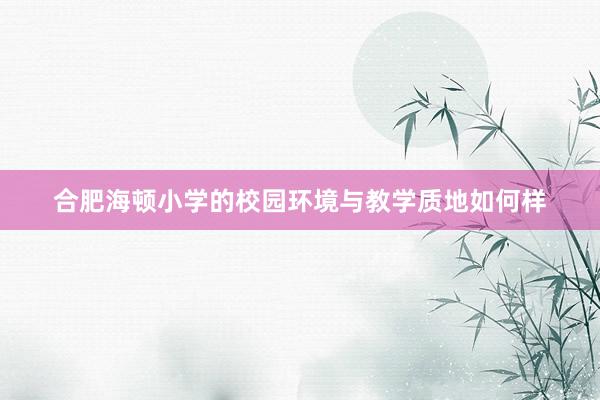 合肥海顿小学的校园环境与教学质地如何样